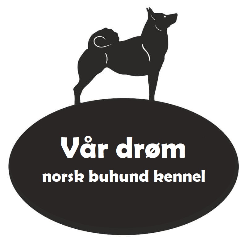 Logo vår Drøm